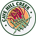 Cave Hill Creek